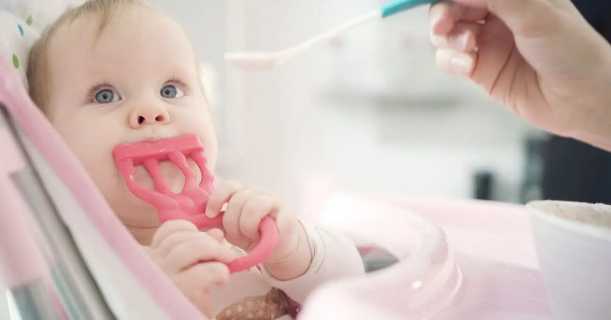 Baby teething baby chewing pink teether while being fed during early solid introduction