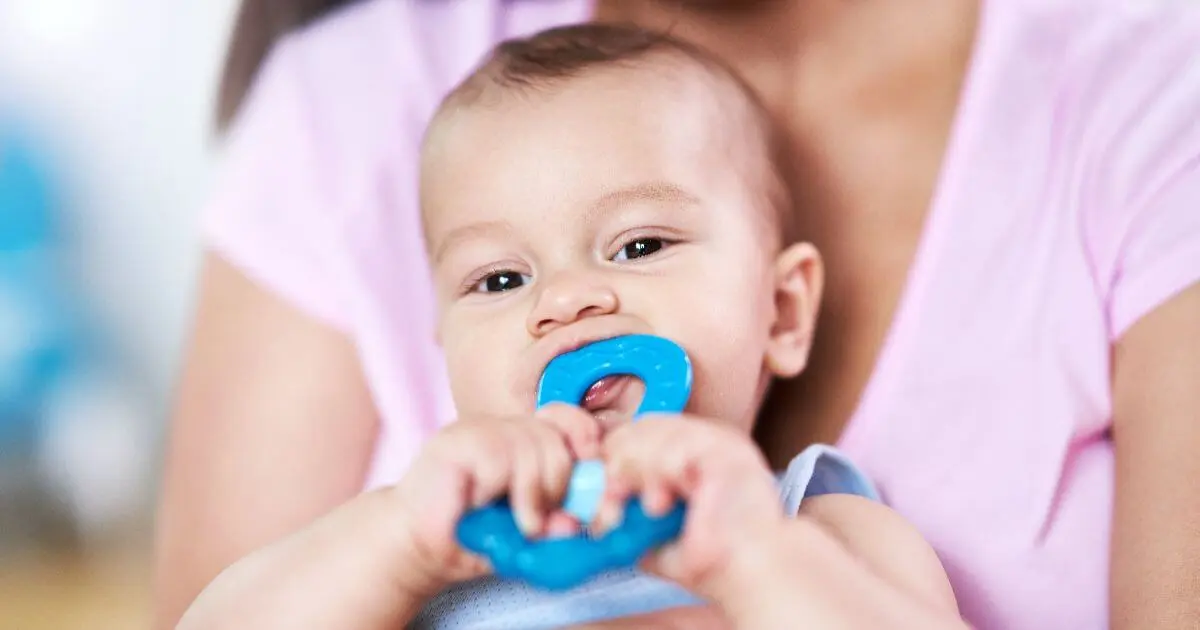 Baby teething infant chewing a blue teething ring while sitting on parent's lap